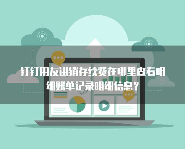 钉钉用友进销存续费在哪里查看明细账单记录明细信息?