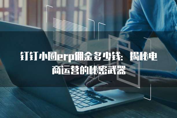 钉钉小圈erp佣金多少钱:揭秘电商运营的秘密武器