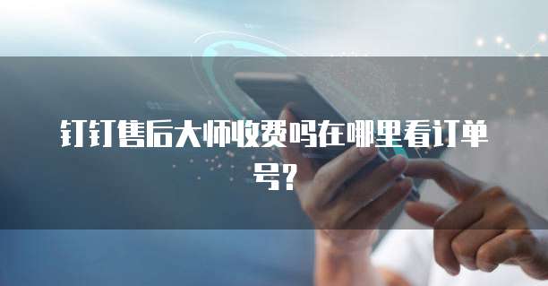 钉钉售后大师收费吗在哪里看订单号?