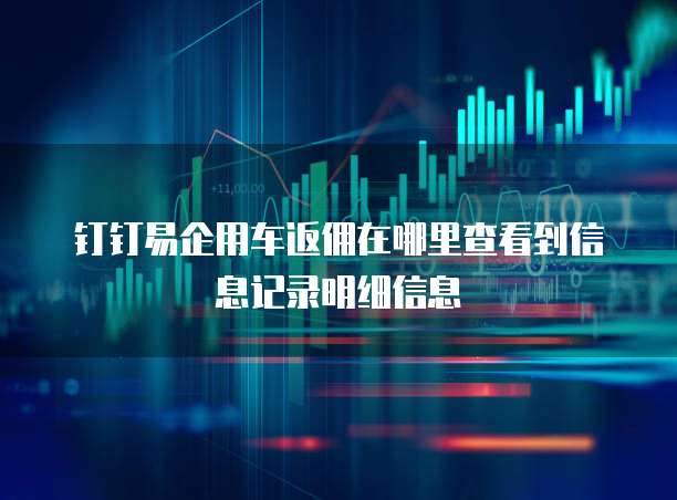 钉钉易企用车返佣在哪里查看到信息记录明细信息