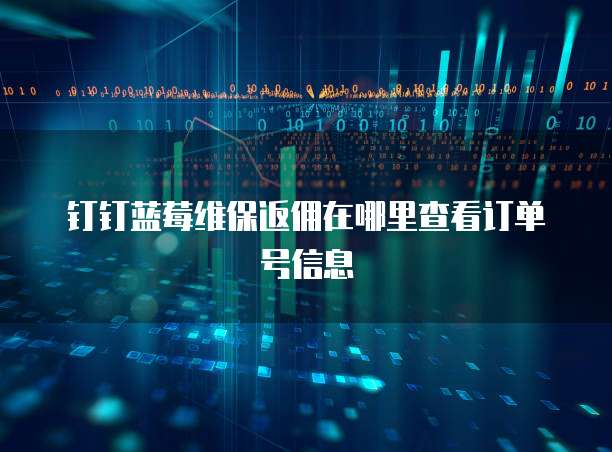 钉钉蓝莓维保返佣在哪里查看订单号信息