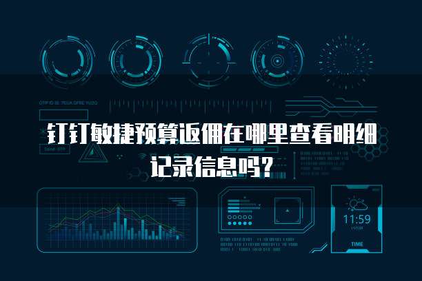 钉钉敏捷预算返佣在哪里查看明细记录信息吗?
