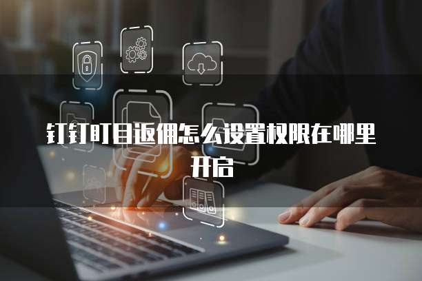 钉钉盯目返佣怎么设置权限在哪里开启
