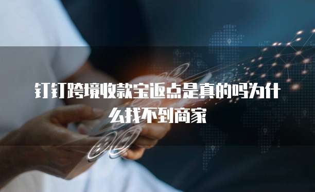 钉钉跨境收款宝返点是真的吗为什么找不到商家
