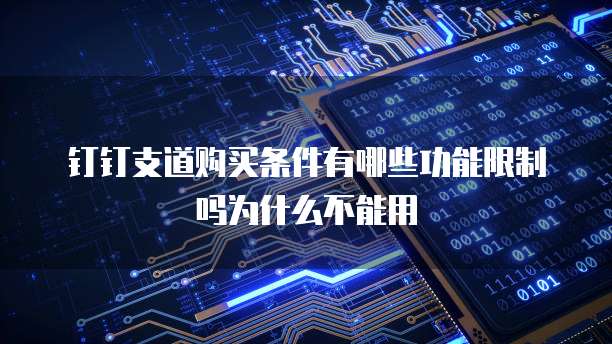 钉钉支道购买条件有哪些功能限制吗为什么不能用
