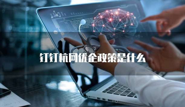 钉钉杭网优企政策是什么
