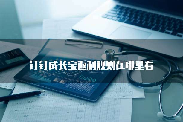 钉钉成长宝返利规则在哪里看