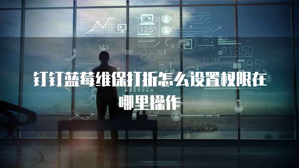 钉钉蓝莓维保打折怎么设置权限在哪里操作