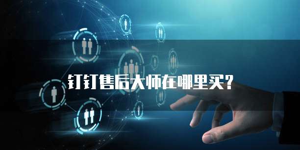 钉钉售后大师在哪里买?