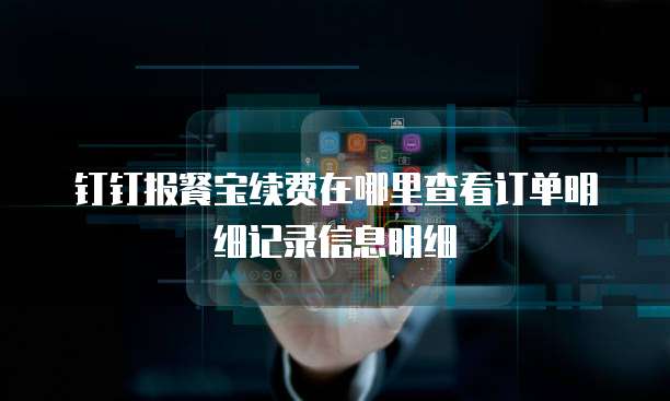 钉钉报餐宝续费在哪里查看订单明细记录信息明细