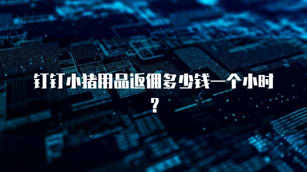 钉钉小猪用品返佣多少钱一个小时?