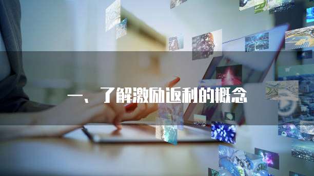 一、了解激励返利的概念