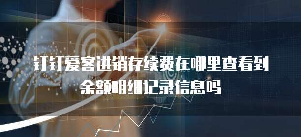 钉钉爱客进销存续费在哪里查看到余额明细记录信息吗