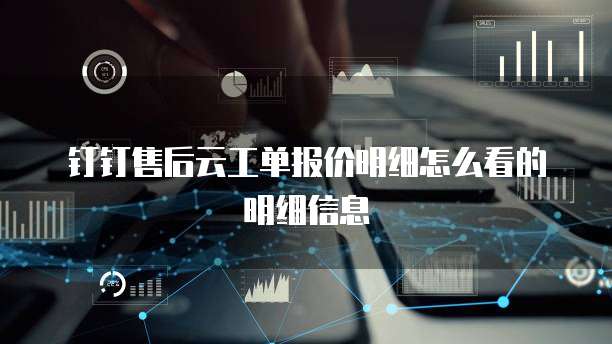 钉钉售后云工单报价明细怎么看的明细信息