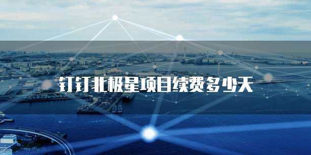 钉钉北极星项目续费多少天