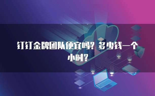 钉钉金牌团队便宜吗?多少钱一个小时?