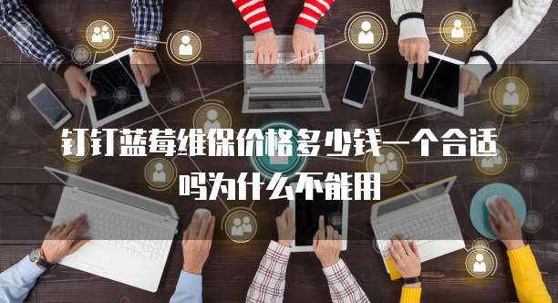 钉钉蓝莓维保价格多少钱一个合适吗为什么不能用