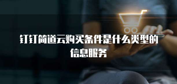钉钉简道云购买条件是什么类型的信息服务