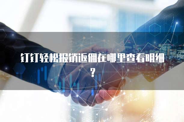 钉钉轻松报销返佣在哪里查看明细?