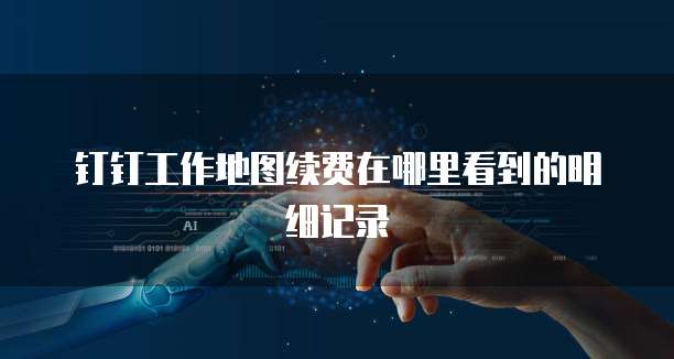 钉钉工作地图续费在哪里看到的明细记录