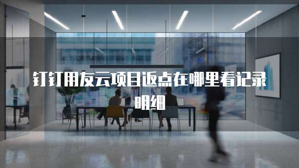 钉钉用友云项目返点在哪里看记录明细