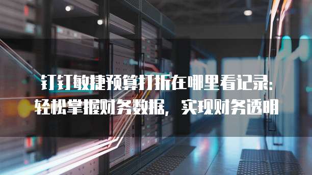钉钉敏捷预算打折在哪里看记录：轻松掌握财务数据，实现财务透明