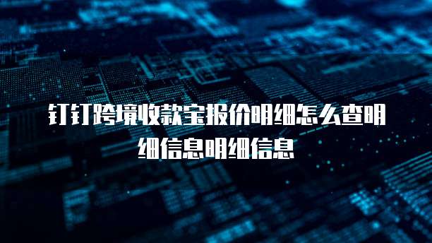 钉钉跨境收款宝报价明细怎么查明细信息明细信息