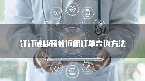 钉钉敏捷预算返佣订单查询方法