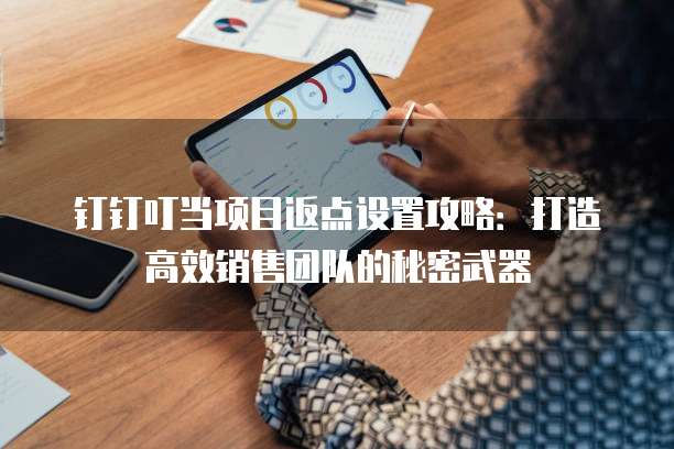 钉钉叮当项目返点设置攻略：打造高效销售团队的秘密武器