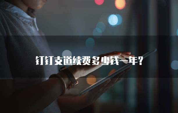 钉钉支道续费多少钱一年?