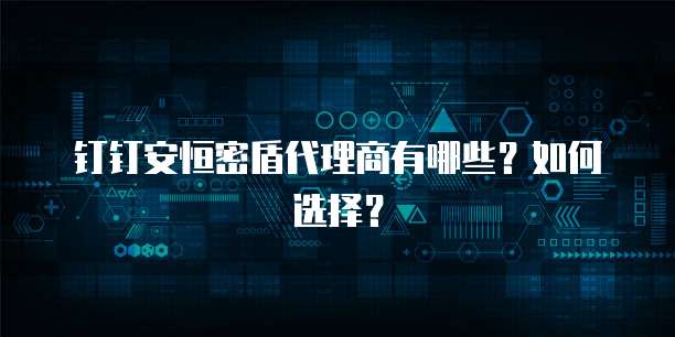 钉钉安恒密盾代理商有哪些?如何选择?