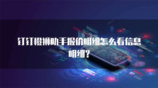 钉钉橙狮助手报价明细怎么看信息明细?