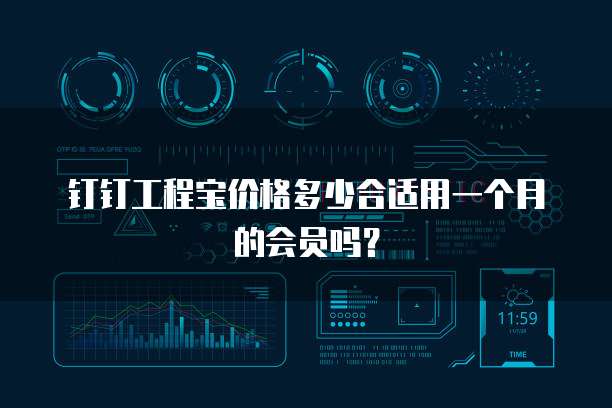 钉钉工程宝价格多少合适用一个月的会员吗?