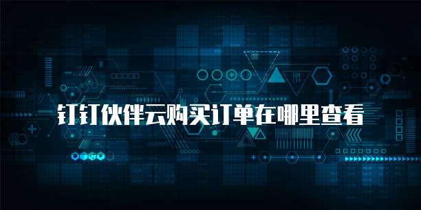 钉钉伙伴云购买订单在哪里查看