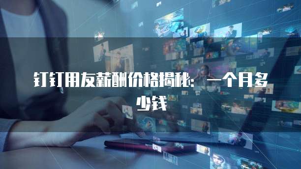 钉钉用友薪酬价格揭秘:一个月多少钱