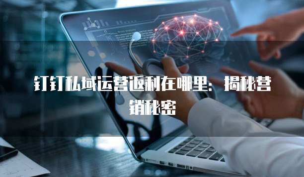 钉钉私域运营返利在哪里:揭秘营销秘密