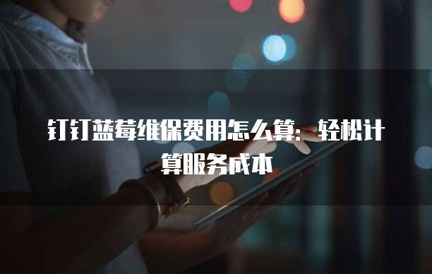 钉钉蓝莓维保费用怎么算:轻松计算服务成本