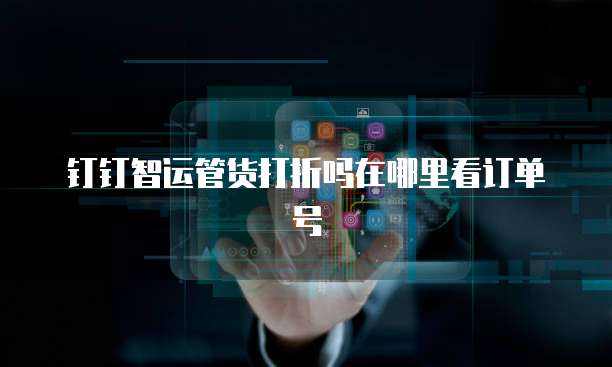 钉钉智运管货打折吗在哪里看订单号