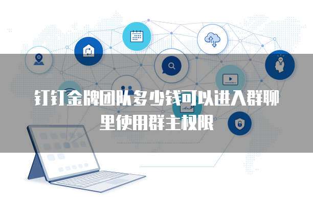 钉钉金牌团队多少钱可以进入群聊里使用群主权限