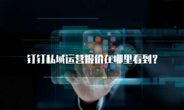 钉钉私域运营报价在哪里看到?