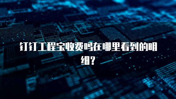 钉钉工程宝收费吗在哪里看到的明细？
