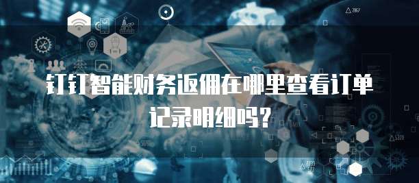 钉钉智能财务返佣在哪里查看订单记录明细吗?