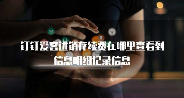 钉钉爱客进销存续费在哪里查看到信息明细记录信息
