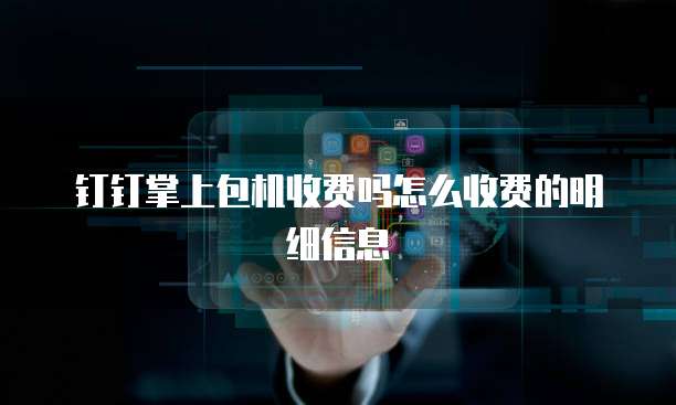 钉钉掌上包机收费吗怎么收费的明细信息