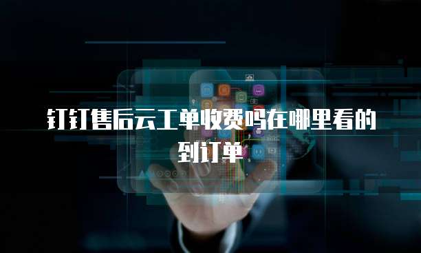 钉钉售后云工单收费吗在哪里看的到订单