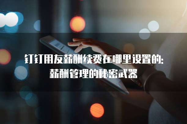 钉钉用友薪酬续费在哪里设置的: 薪酬管理的秘密武器