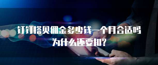 钉钉搭贝佣金多少钱一个月合适吗为什么还要扣？