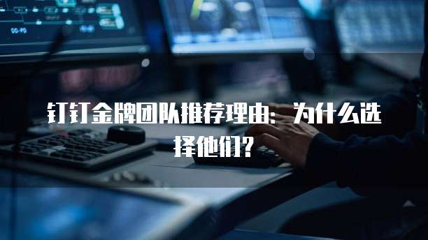 钉钉金牌团队推荐理由:为什么选择他们?