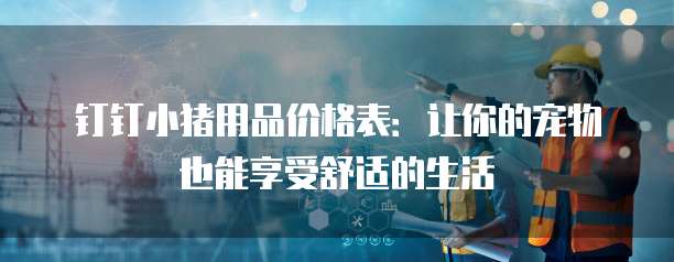 钉钉小猪用品价格表:让你的宠物也能享受舒适的生活