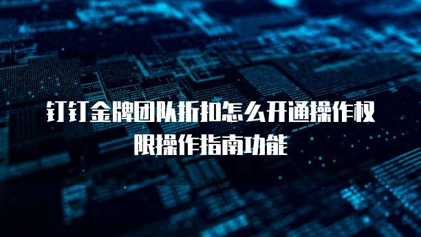 钉钉金牌团队折扣怎么开通操作权限操作指南功能